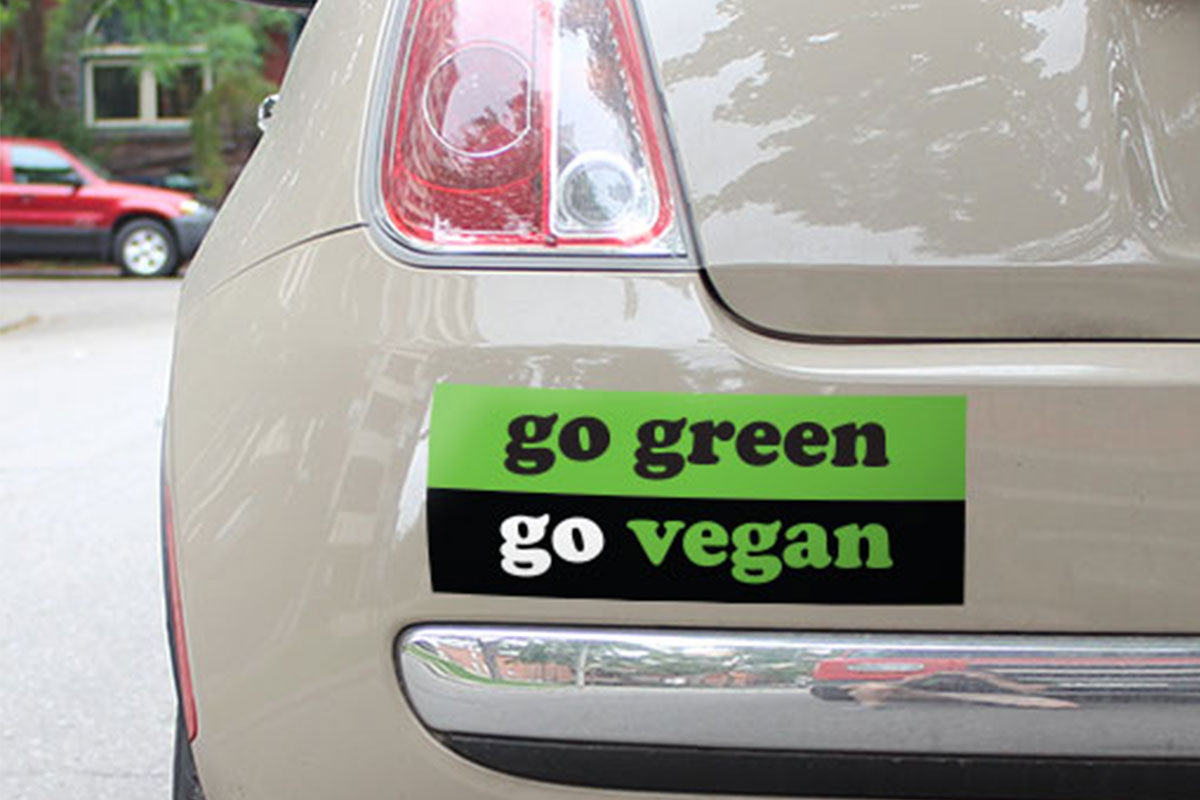 Professional Bumper Stickers printing services Professional Bumper Stickers printing services
